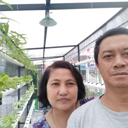 Titan'S Greenhouse Баньювангі Екстер'єр фото